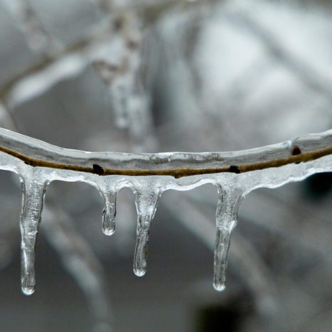 frozen